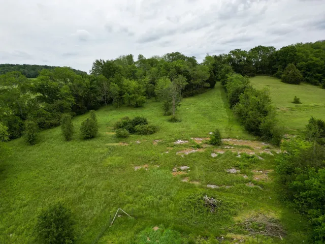 a view of a green yard with large trees
