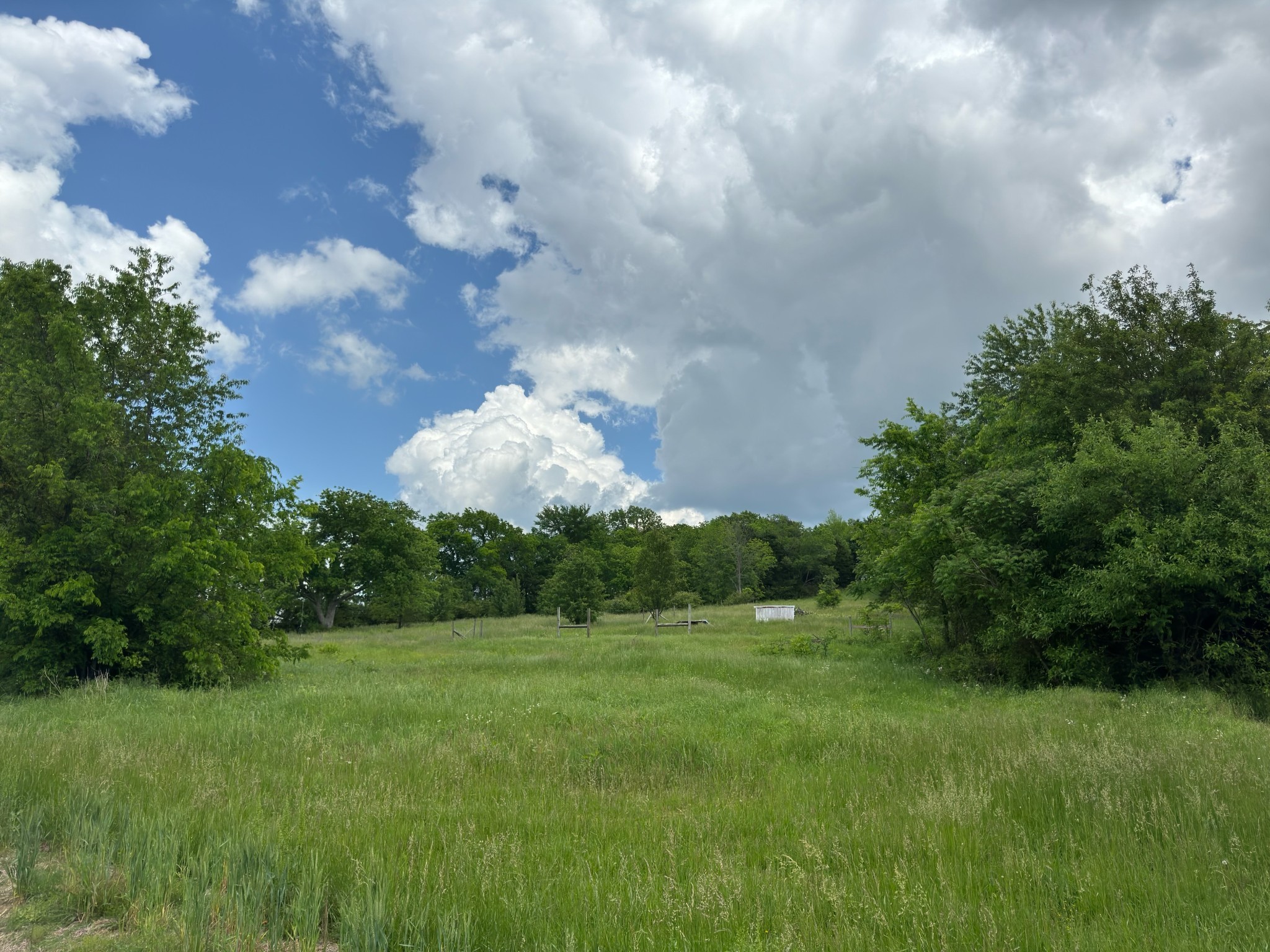 0 Statesville Road Watertown, TN 37184 - Photo 4 of 7 a front view of a house with a yard