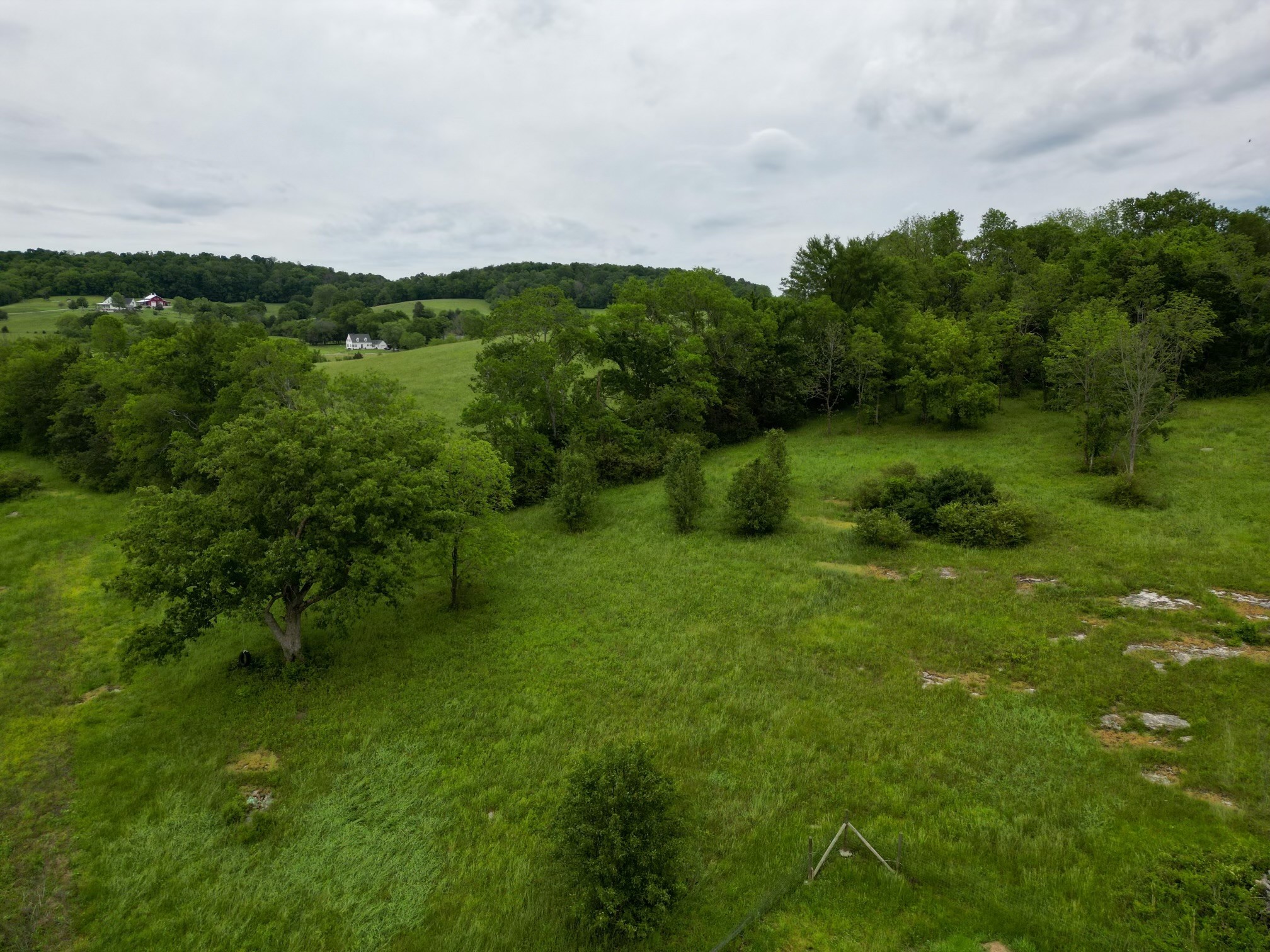 0 Statesville Road Watertown, TN 37184 - Photo 6 of 7 a view of a lush green outdoor space with a lake view