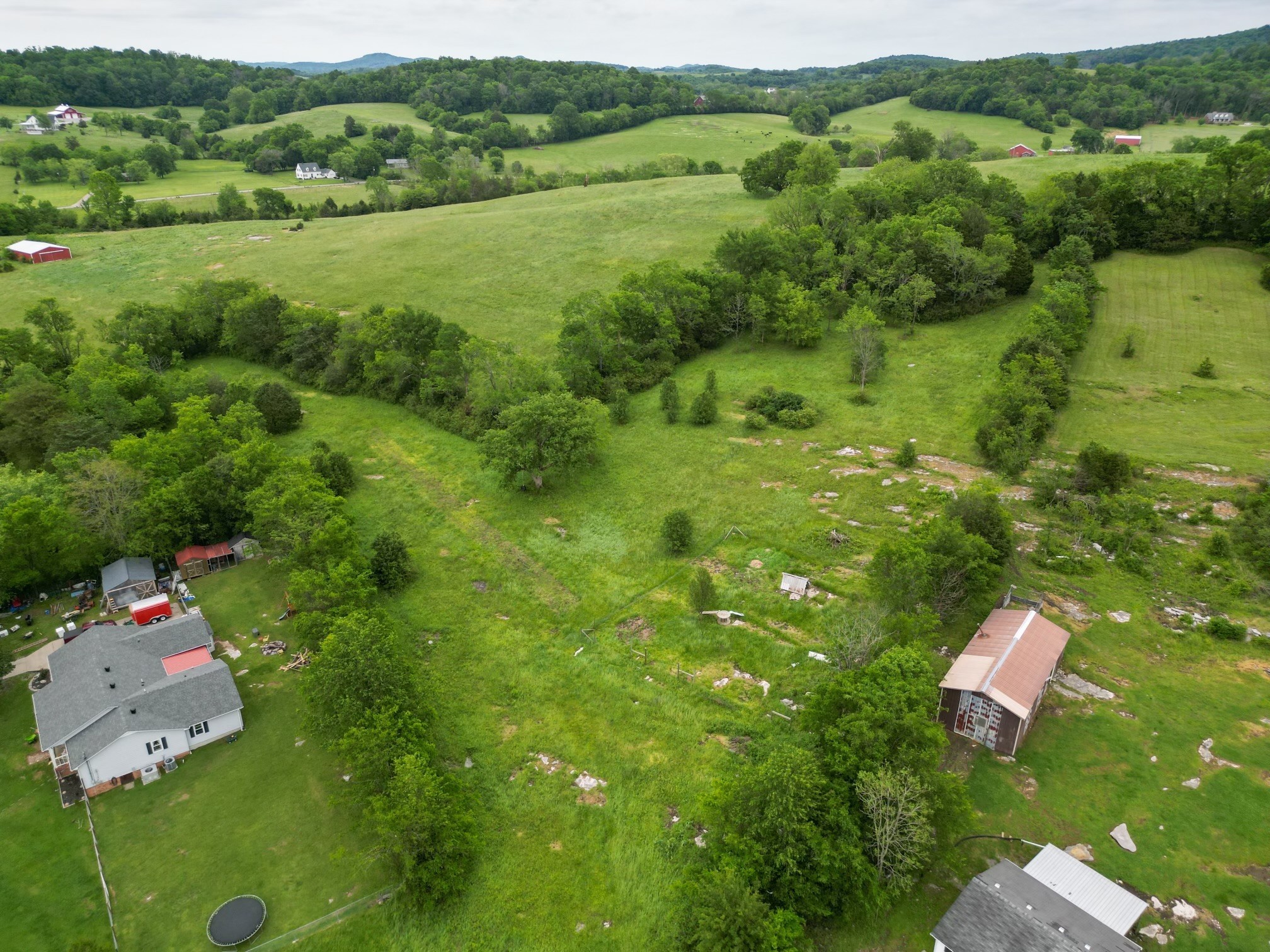 0 Statesville Road Watertown, TN 37184 - Photo 7 of 7 a view of a lush green space
