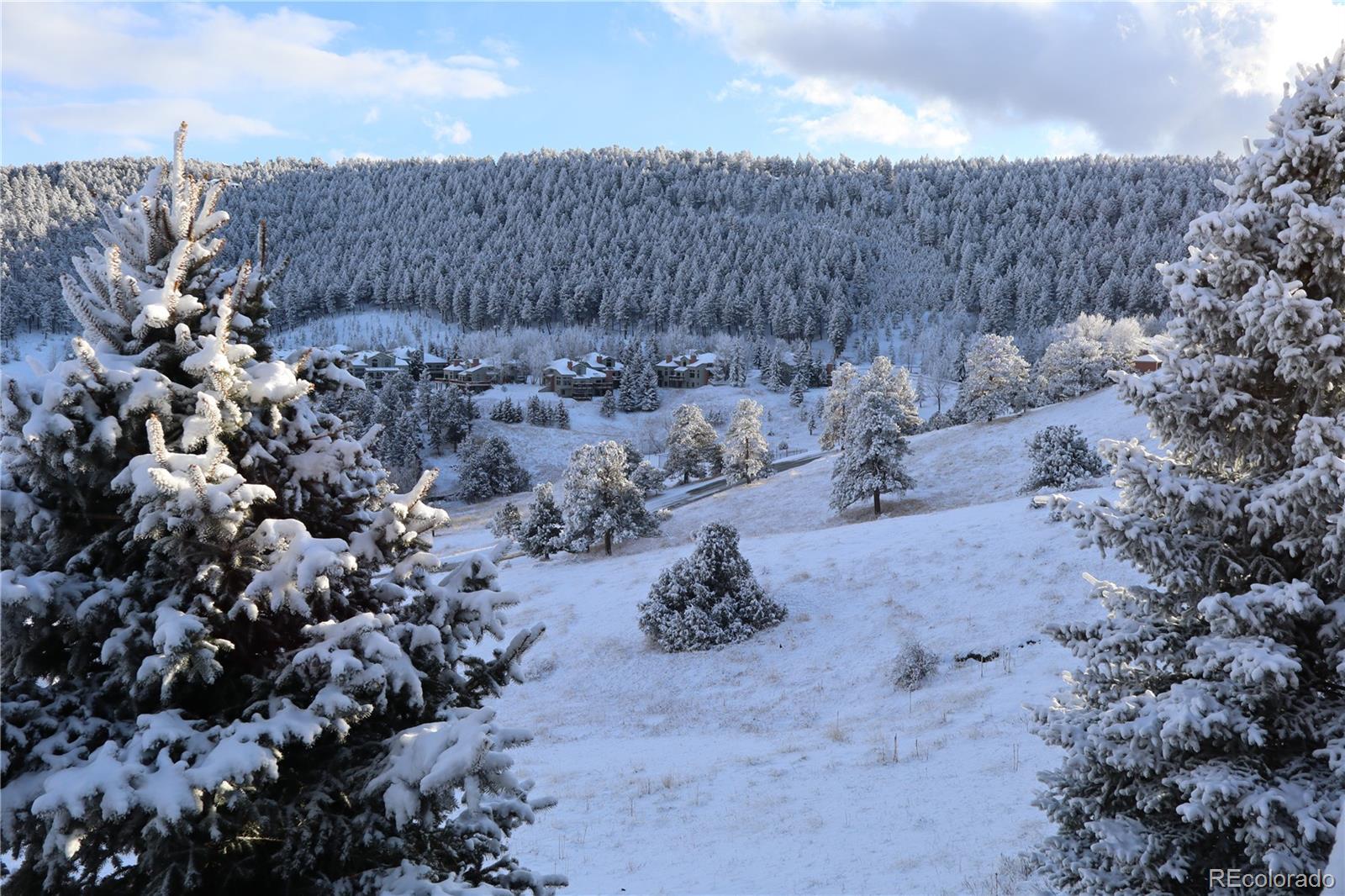 568 Ridgeside Drive Golden, CO 80401 - Photo 42 of 48 a view of lot of trees
