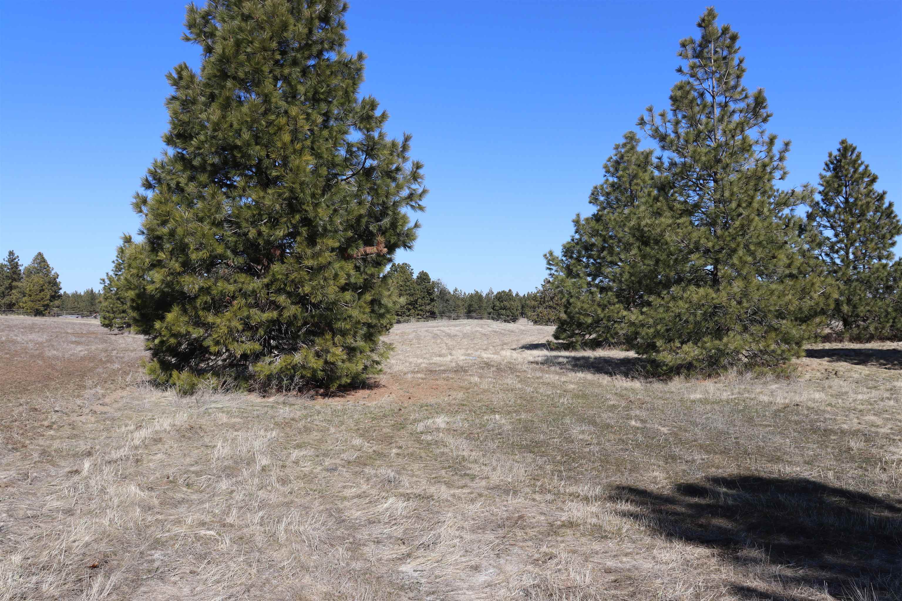 5271 South Dorset Road Spokane, WA 99224 - Photo 1 of 11