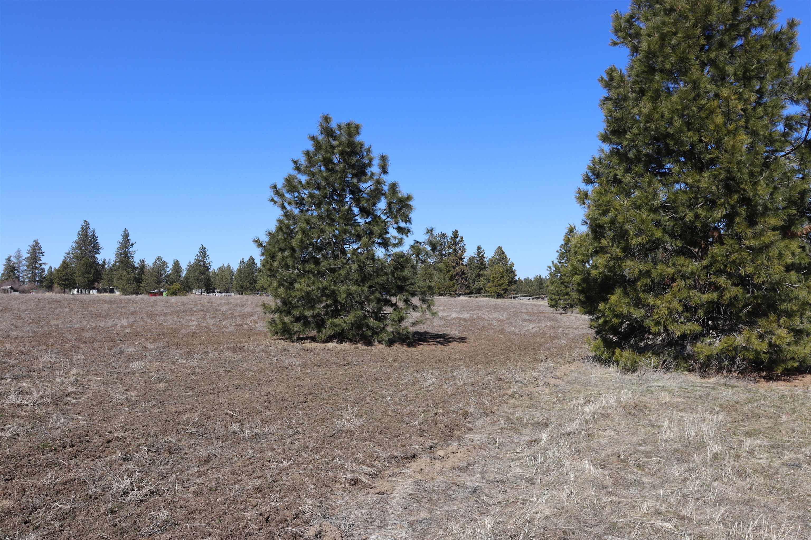 5271 South Dorset Road Spokane, WA 99224 - Photo 2 of 11