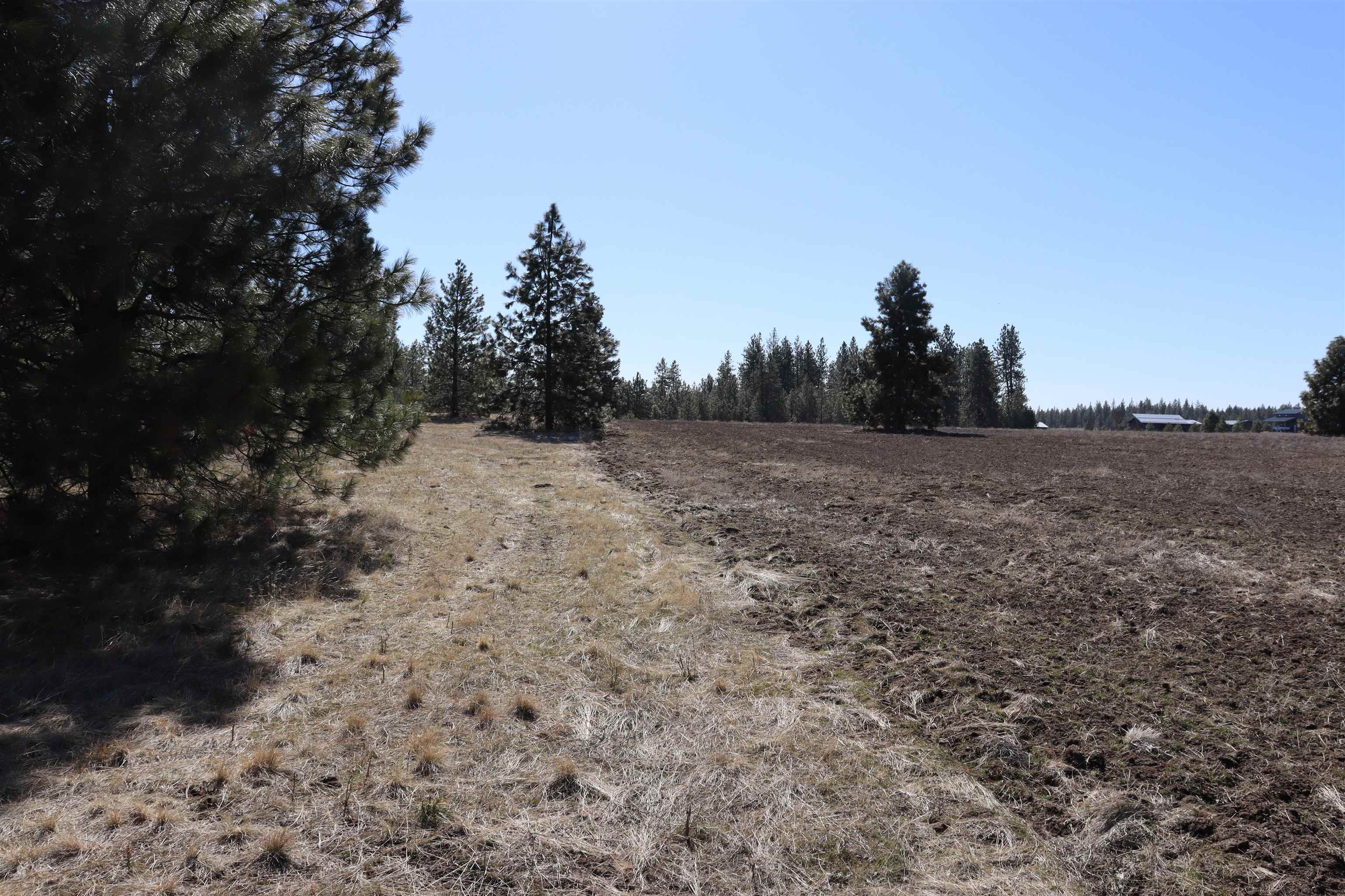 5271 South Dorset Road Spokane, WA 99224 - Photo 3 of 11
