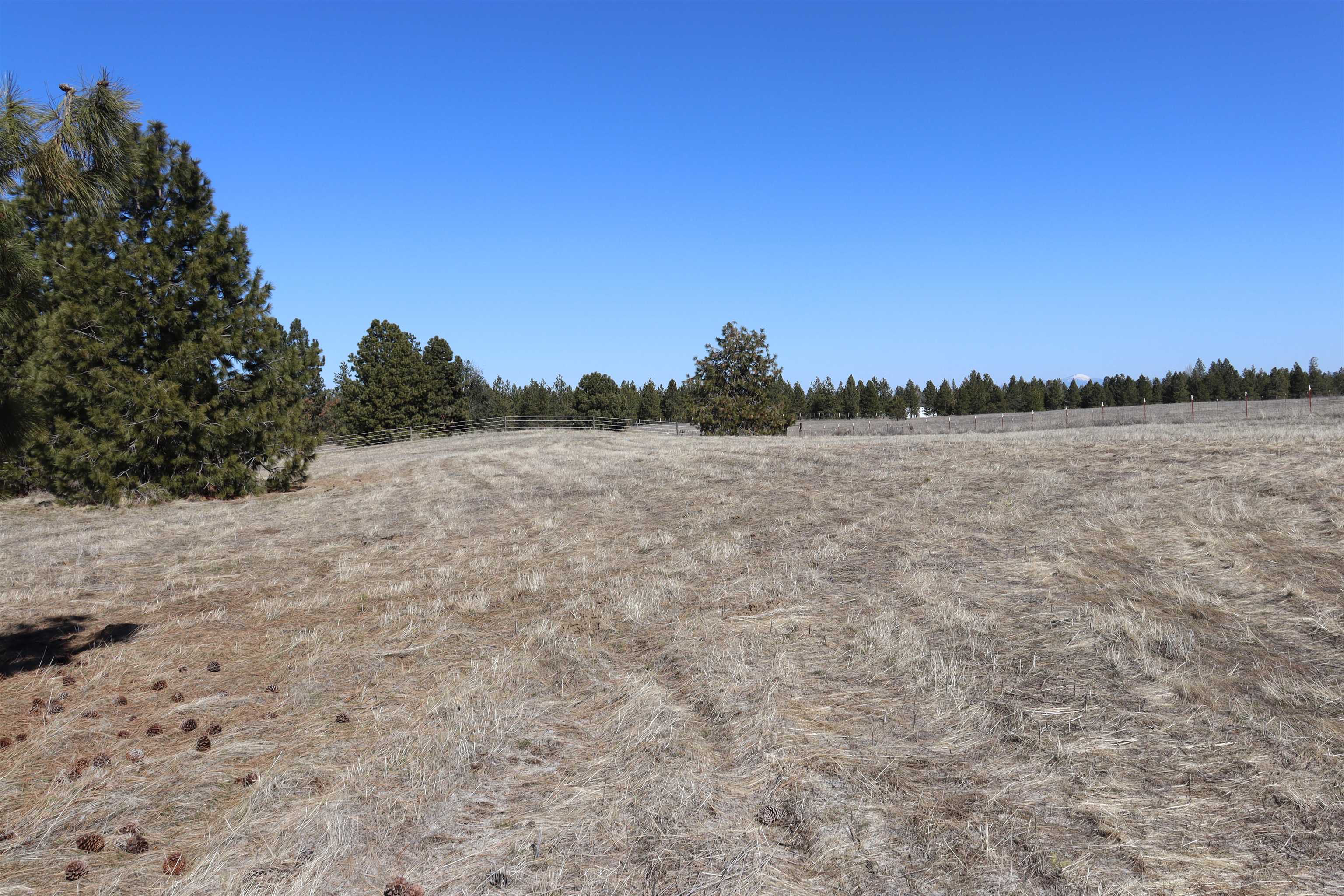 5271 South Dorset Road Spokane, WA 99224 - Photo 4 of 11