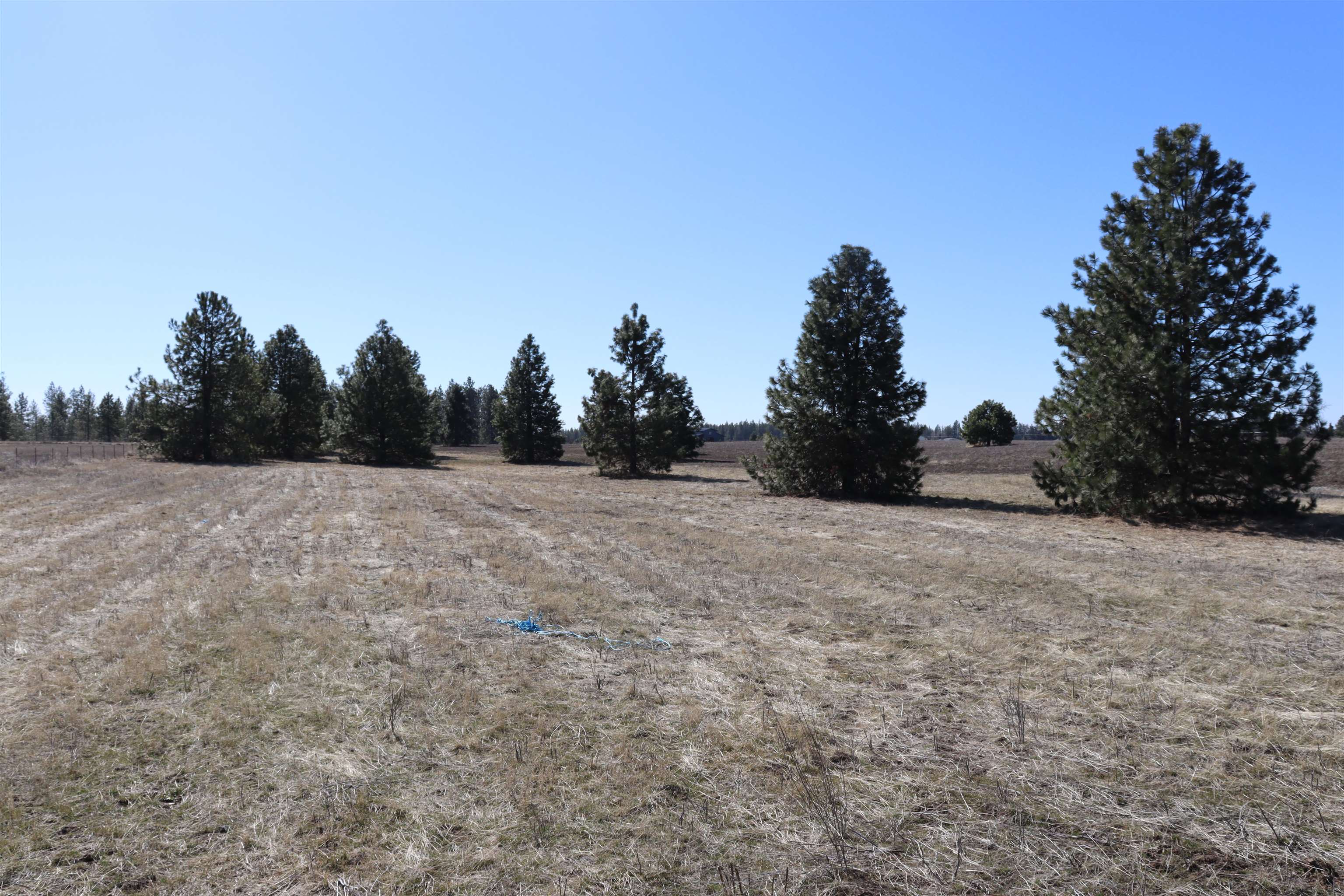 5271 South Dorset Road Spokane, WA 99224 - Photo 5 of 11