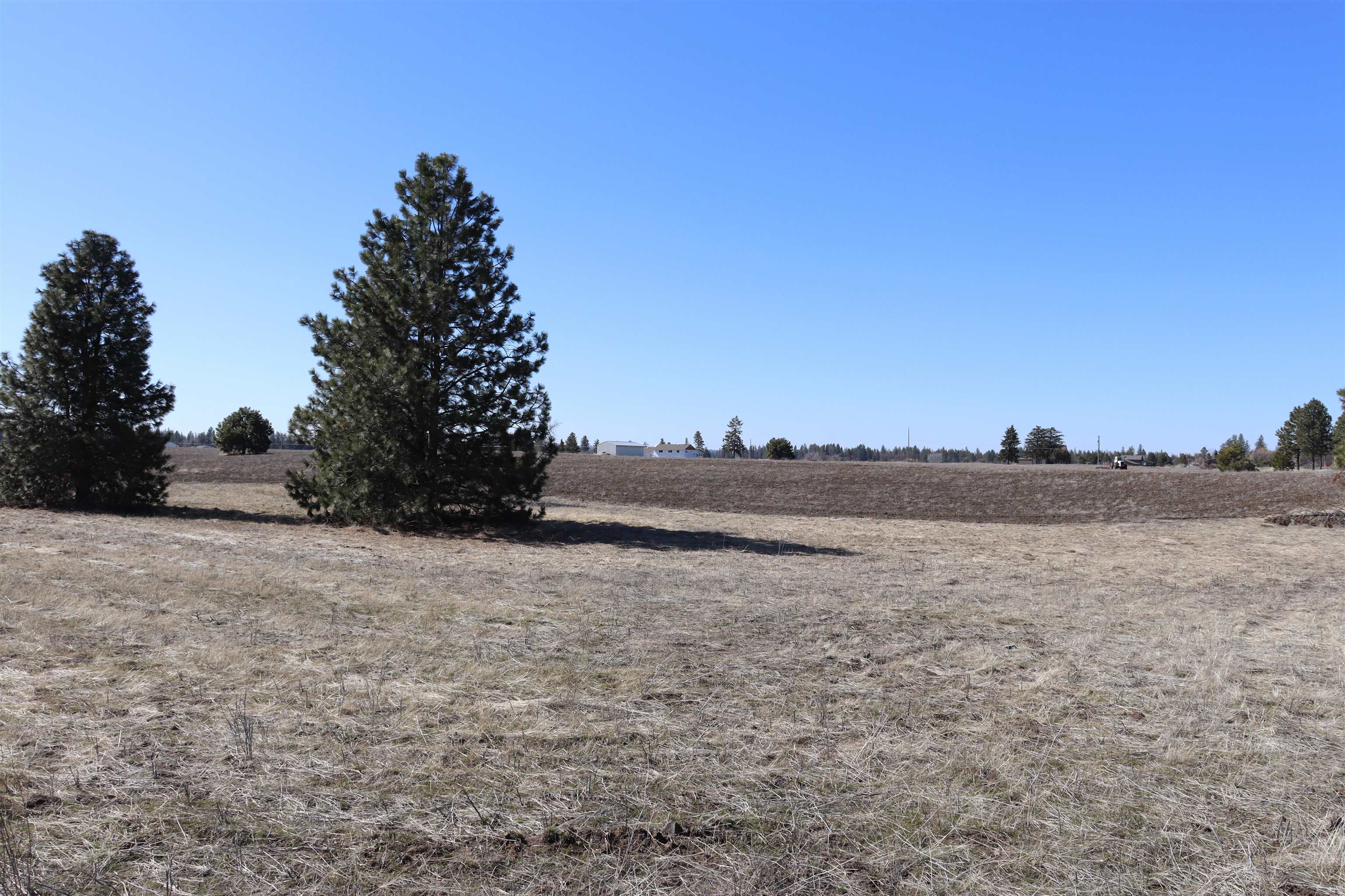 5271 South Dorset Road Spokane, WA 99224 - Photo 6 of 11