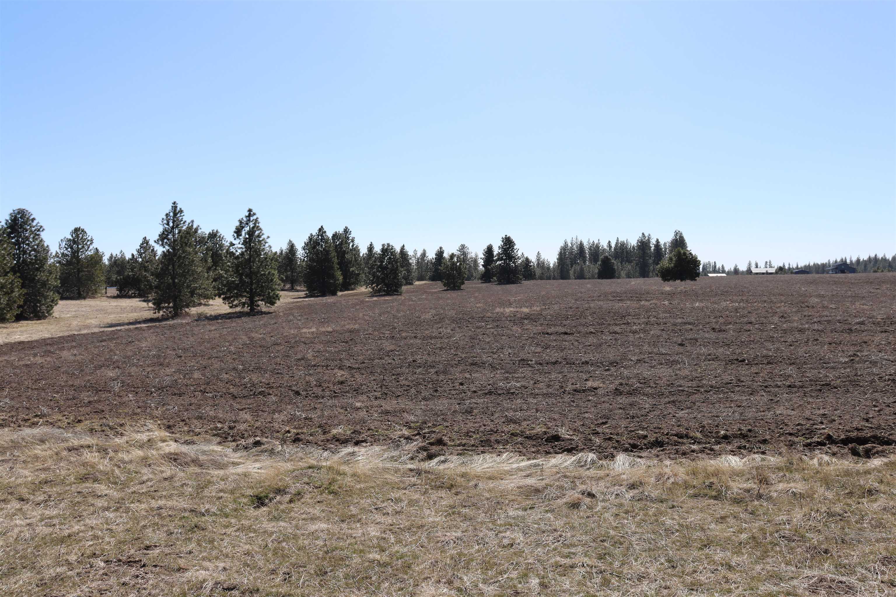 5271 South Dorset Road Spokane, WA 99224 - Photo 7 of 11