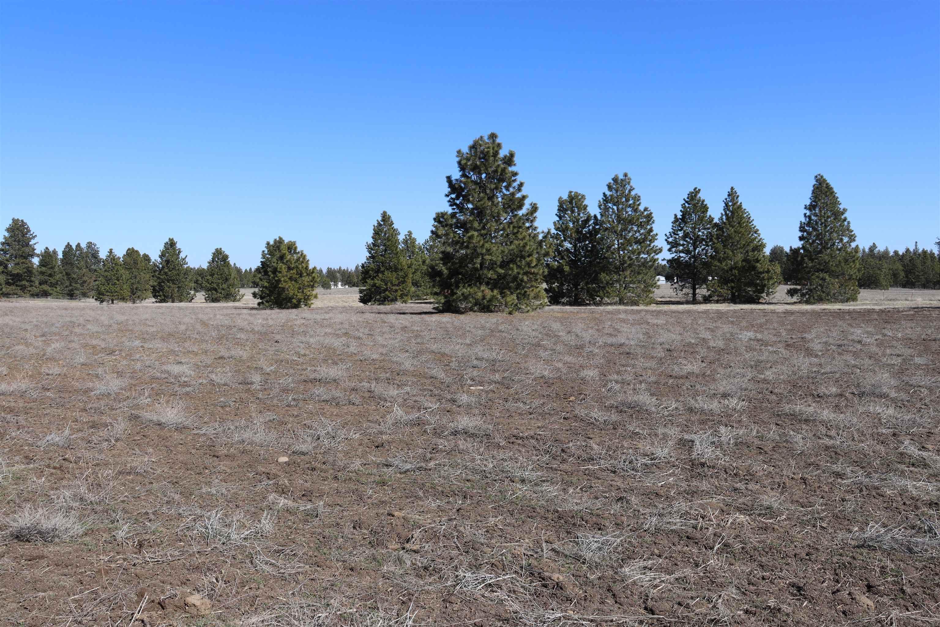 5271 South Dorset Road Spokane, WA 99224 - Photo 8 of 11