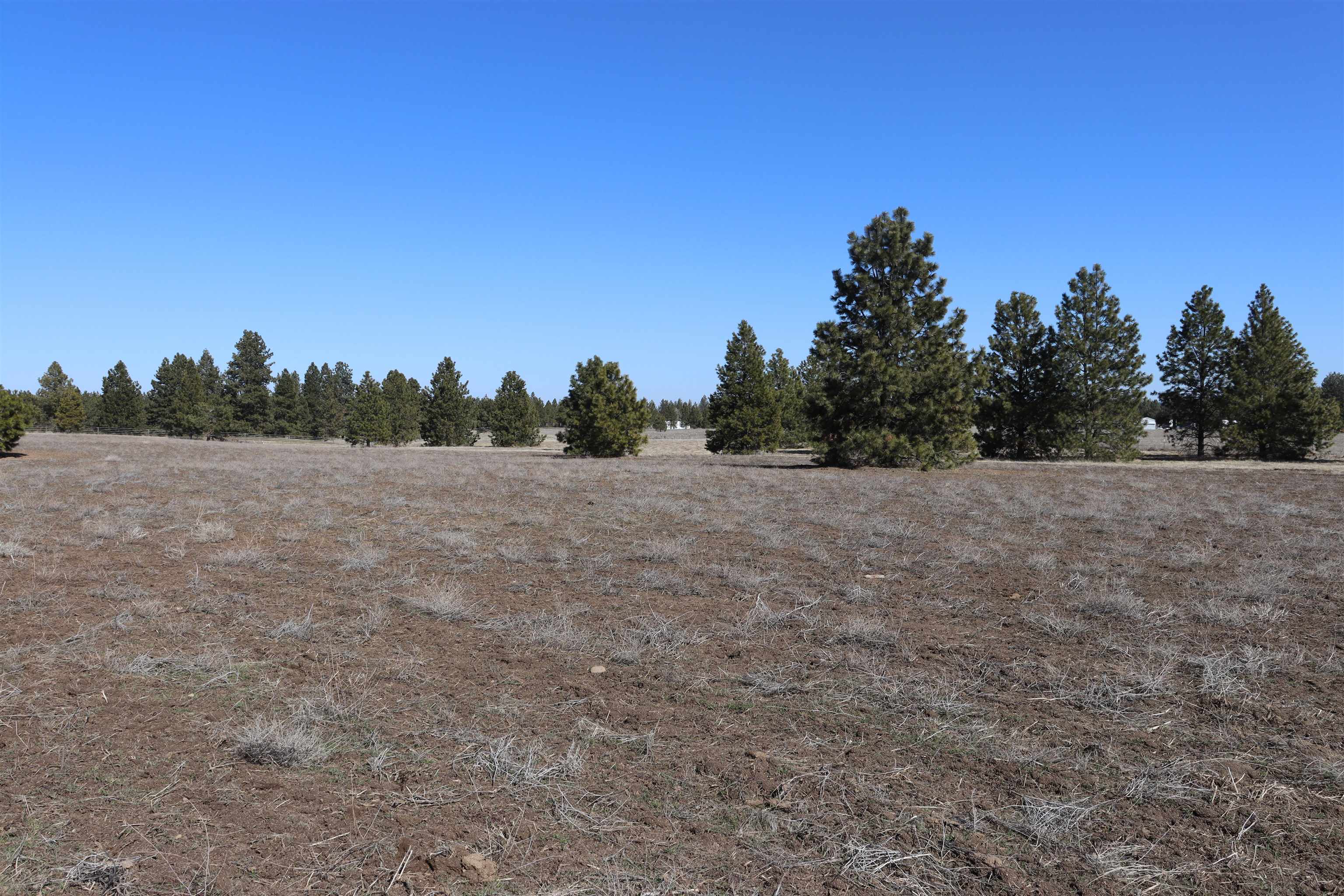 5271 South Dorset Road Spokane, WA 99224 - Photo 9 of 11