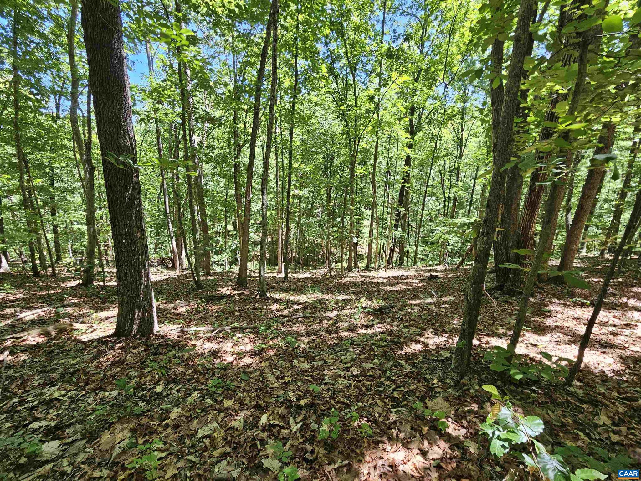Manteo Road, Unit 2 Buckingham, VA 23921 - Photo 14 of 19