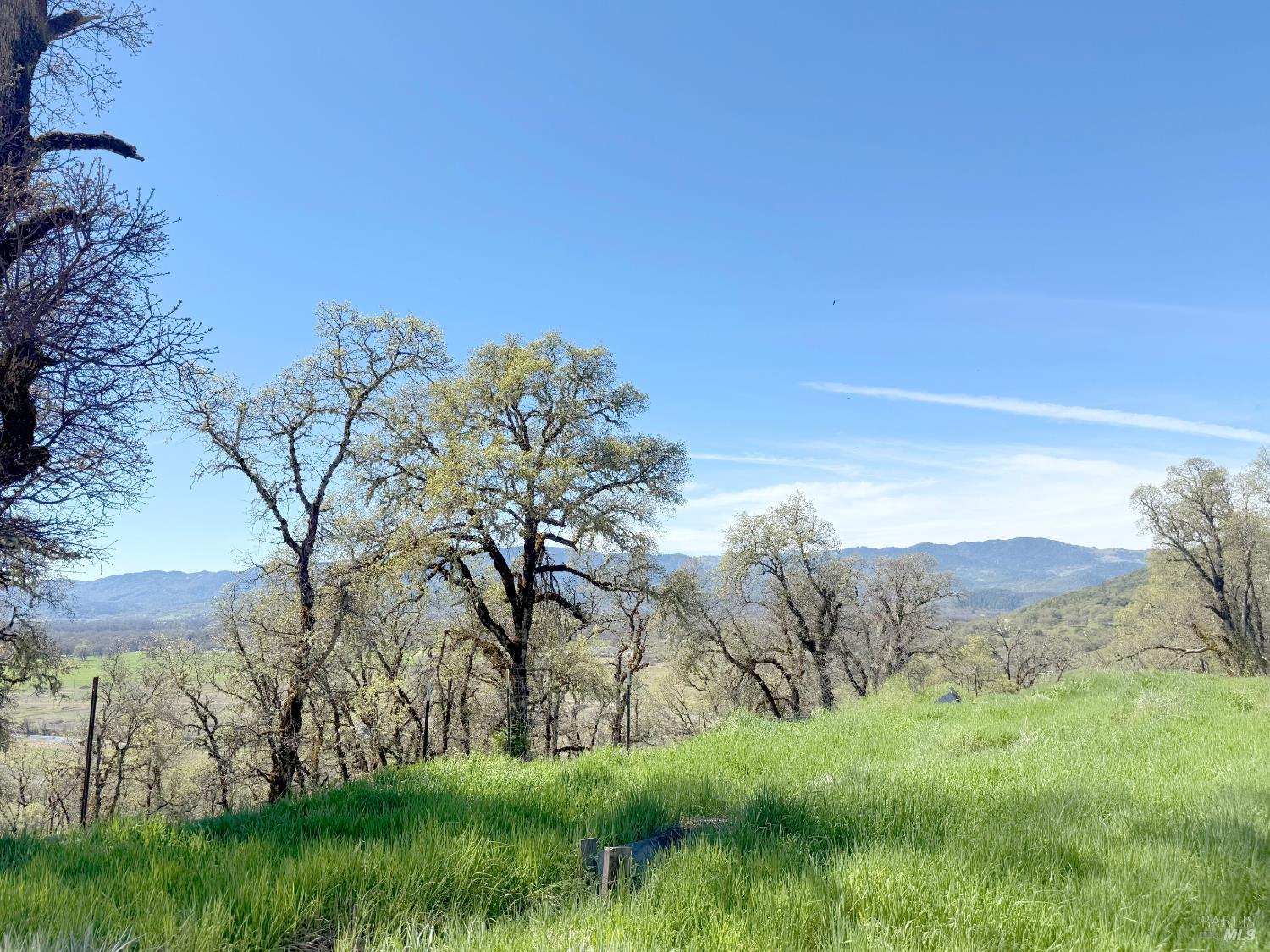 27150 Mendocino Pass Road Covelo, CA 95428 - Photo 29 of 32 a view of a lush green space with sea