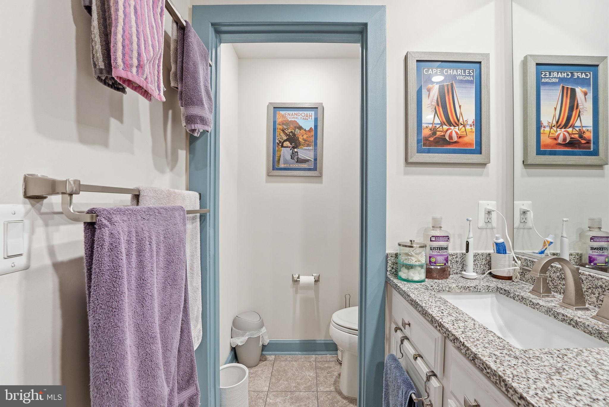 12916 Sunrise Ridge Alley, Unit 63 Herndon, VA 20171 - Photo 57 of 71 Separate toilet area