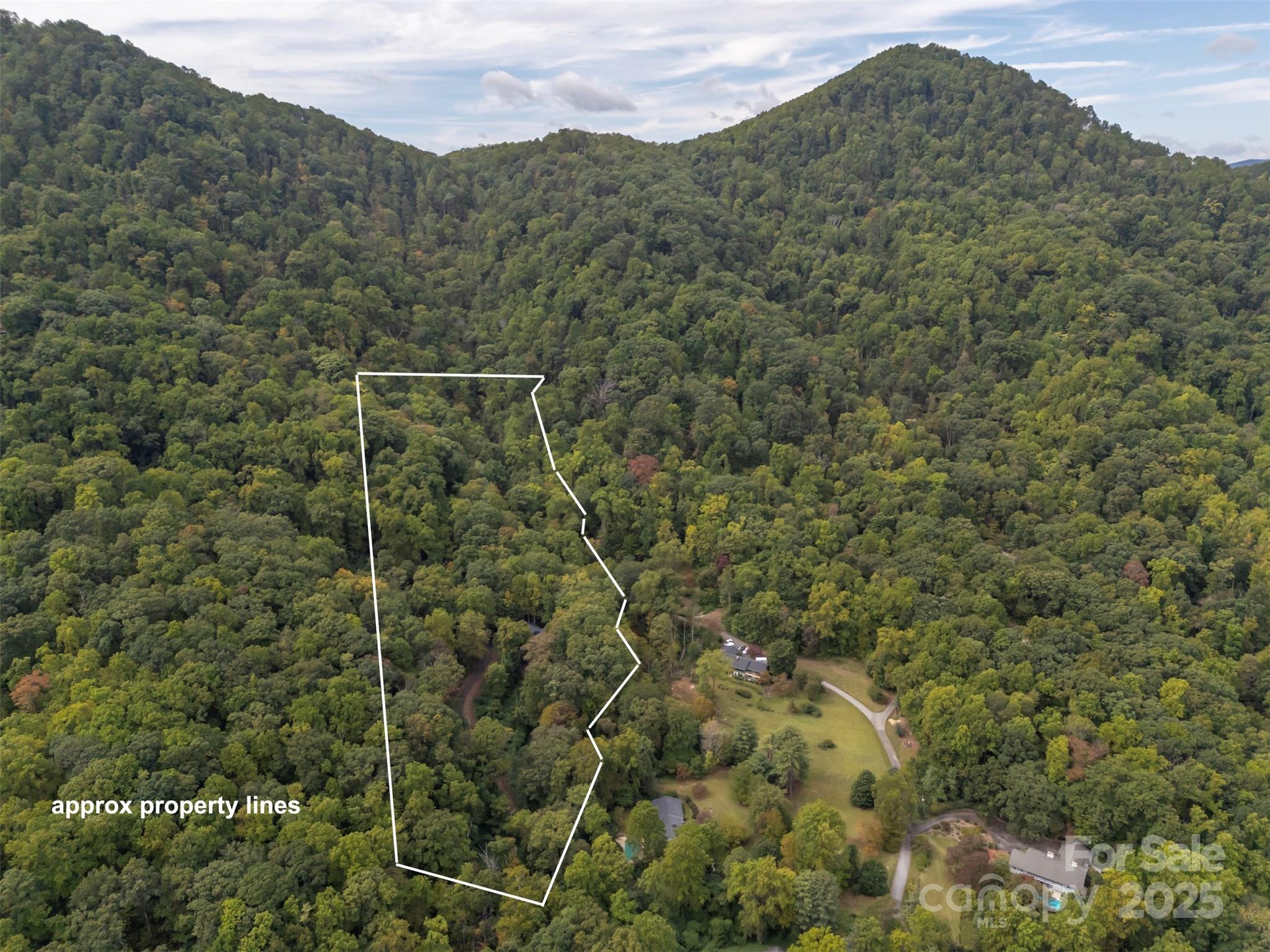 160 Lasae Lane Tryon, NC 28782 - Photo 41 of 48 a view of a mountain