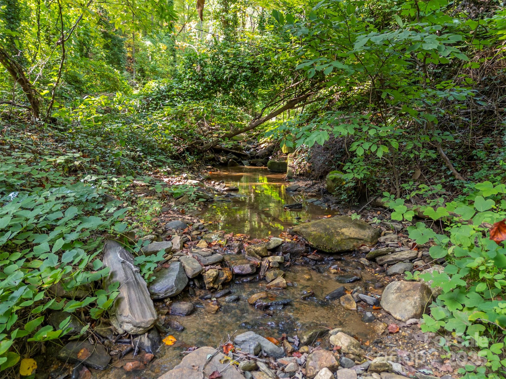 160 Lasae Lane Tryon, NC 28782 - Photo 42 of 48 a aerial view of a house with a yard