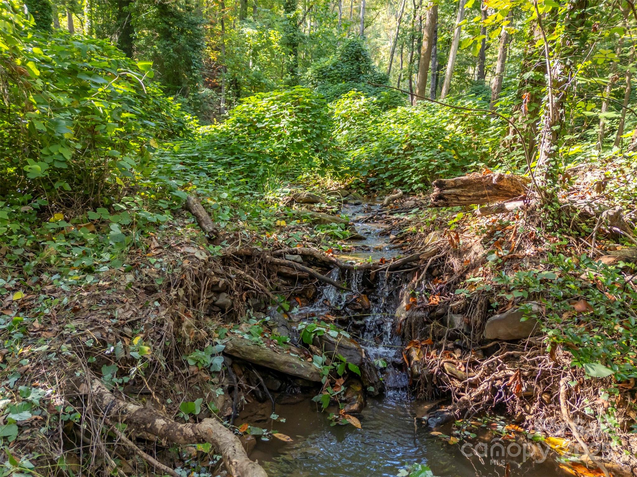 160 Lasae Lane Tryon, NC 28782 - Photo 43 of 48 a backyard of a house with lots of green space