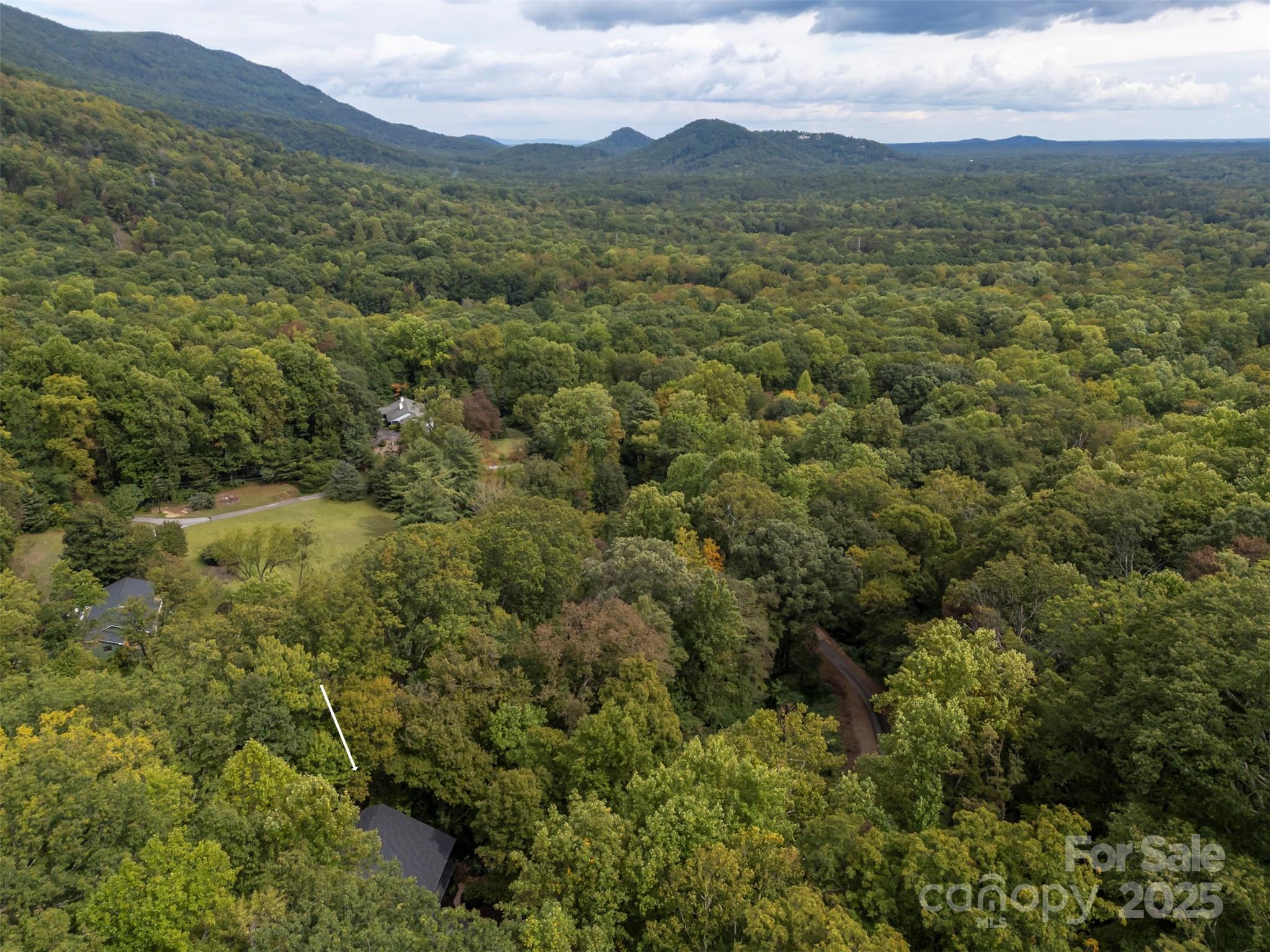 160 Lasae Lane Tryon, NC 28782 - Photo 44 of 48 a view of a mountain with an outdoor space