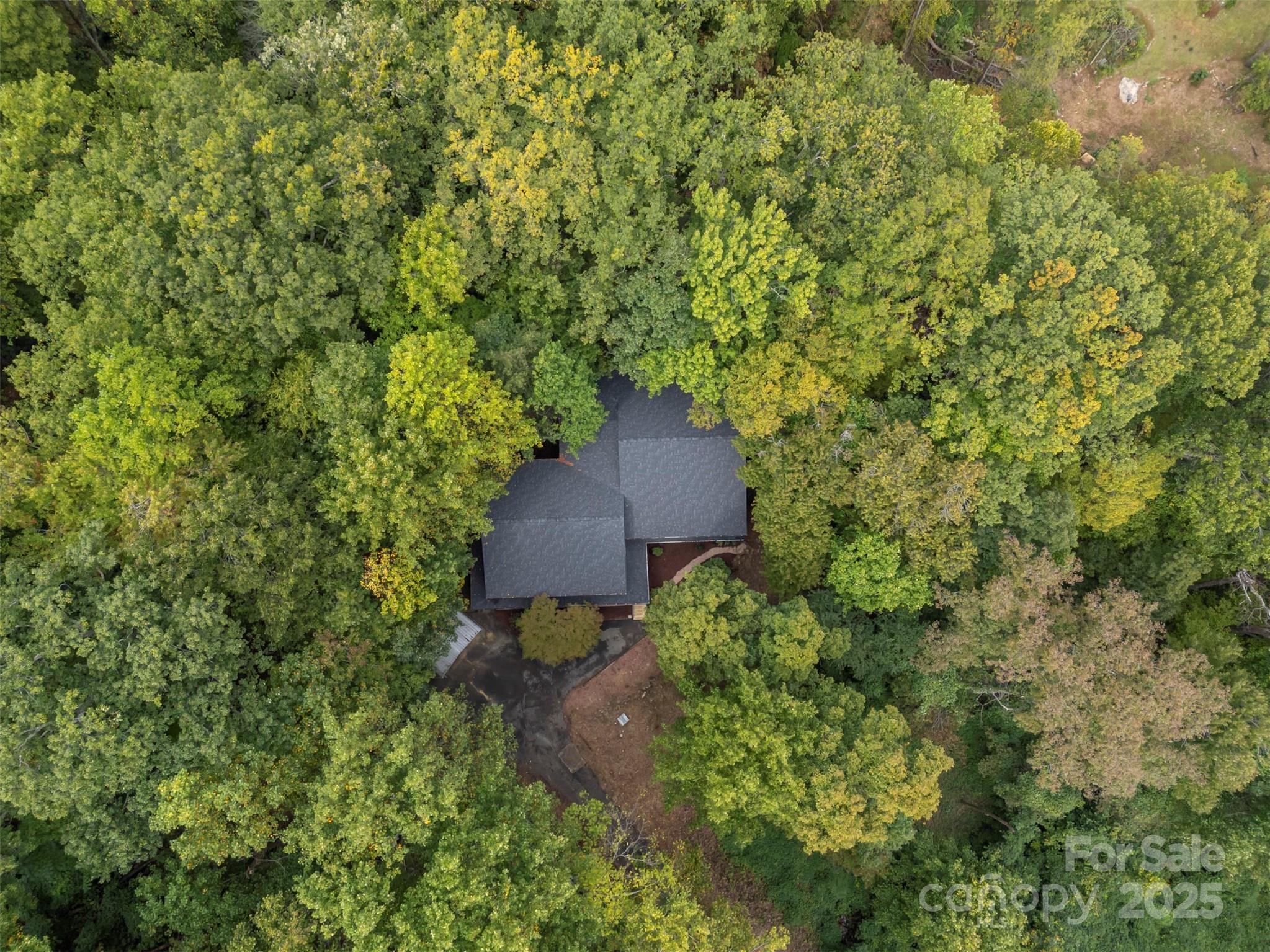 160 Lasae Lane Tryon, NC 28782 - Photo 45 of 48 an outdoor space with lots of trees