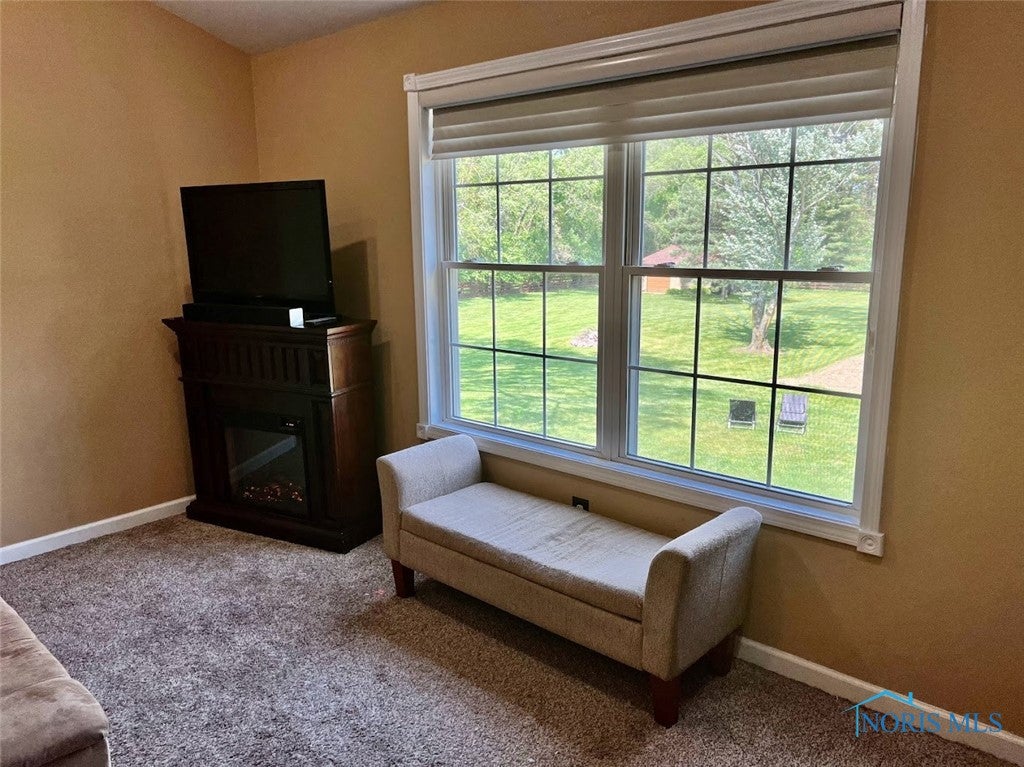 3525 Albon Road Maumee, OH 43537 - Photo 25 of 48 Master bed with large bay window overlooking back yard. Electric fireplace included.