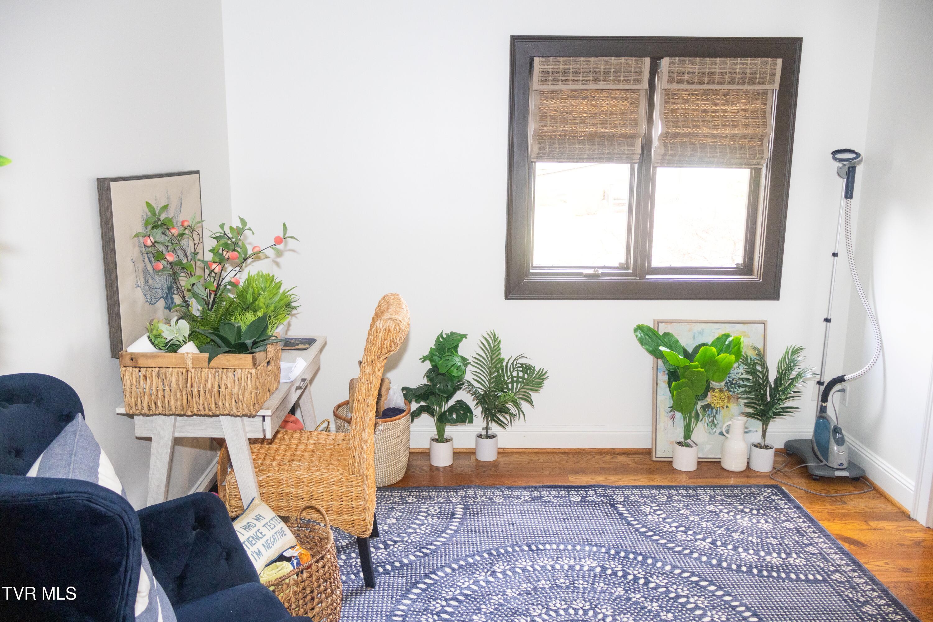 98 Periwinkle Place Kingsport, TN 37660 - Photo 25 of 43 MV4A0814a