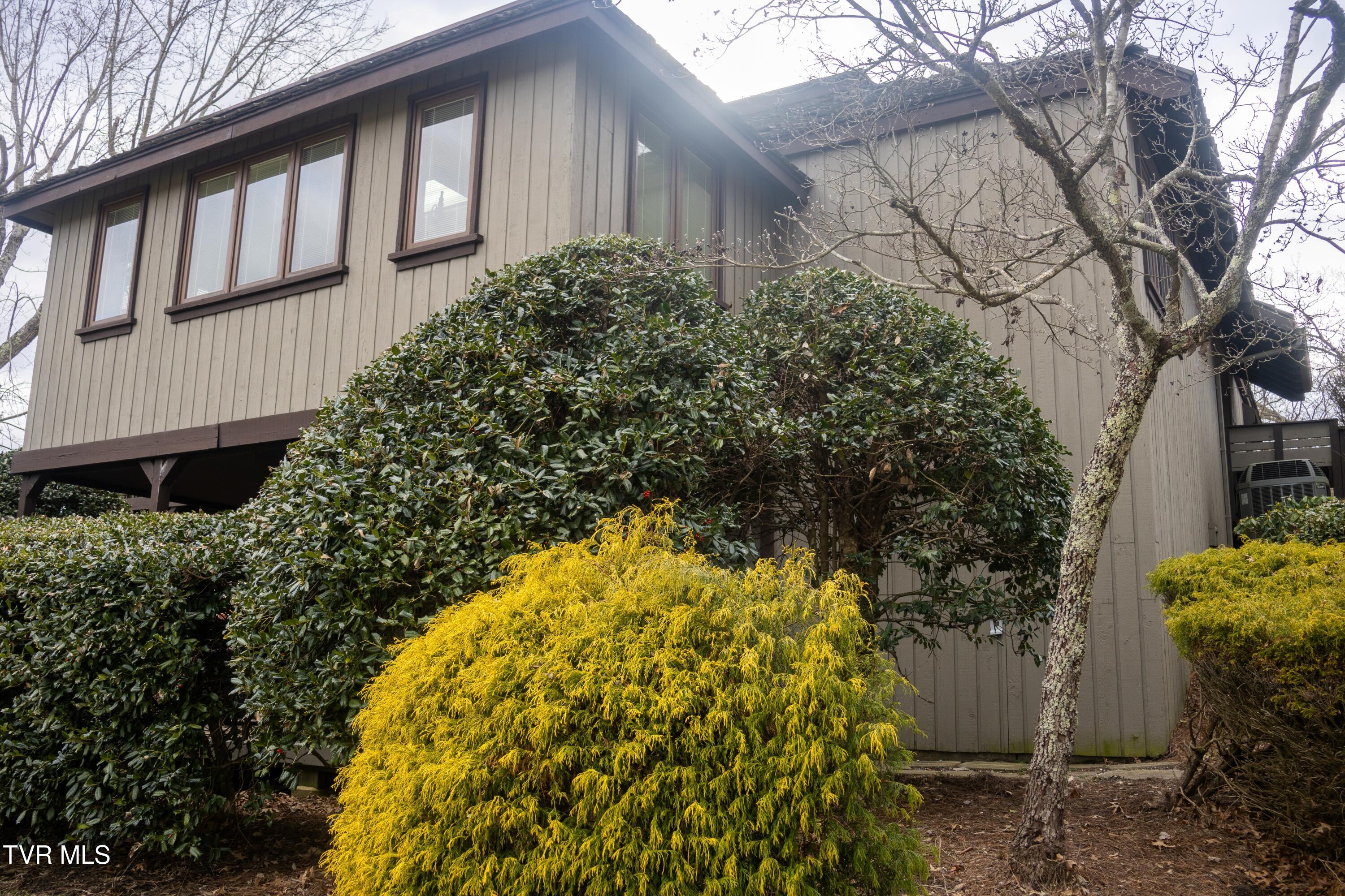 98 Periwinkle Place Kingsport, TN 37660 - Photo 3 of 43 MV4A0873a - Copy