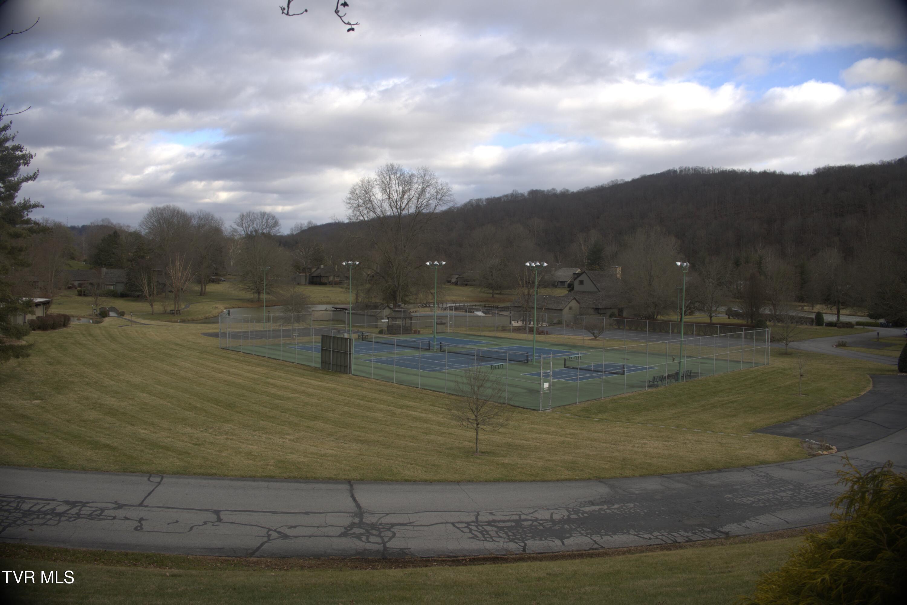 98 Periwinkle Place Kingsport, TN 37660 - Photo 39 of 43 MV4A0869a - Copy