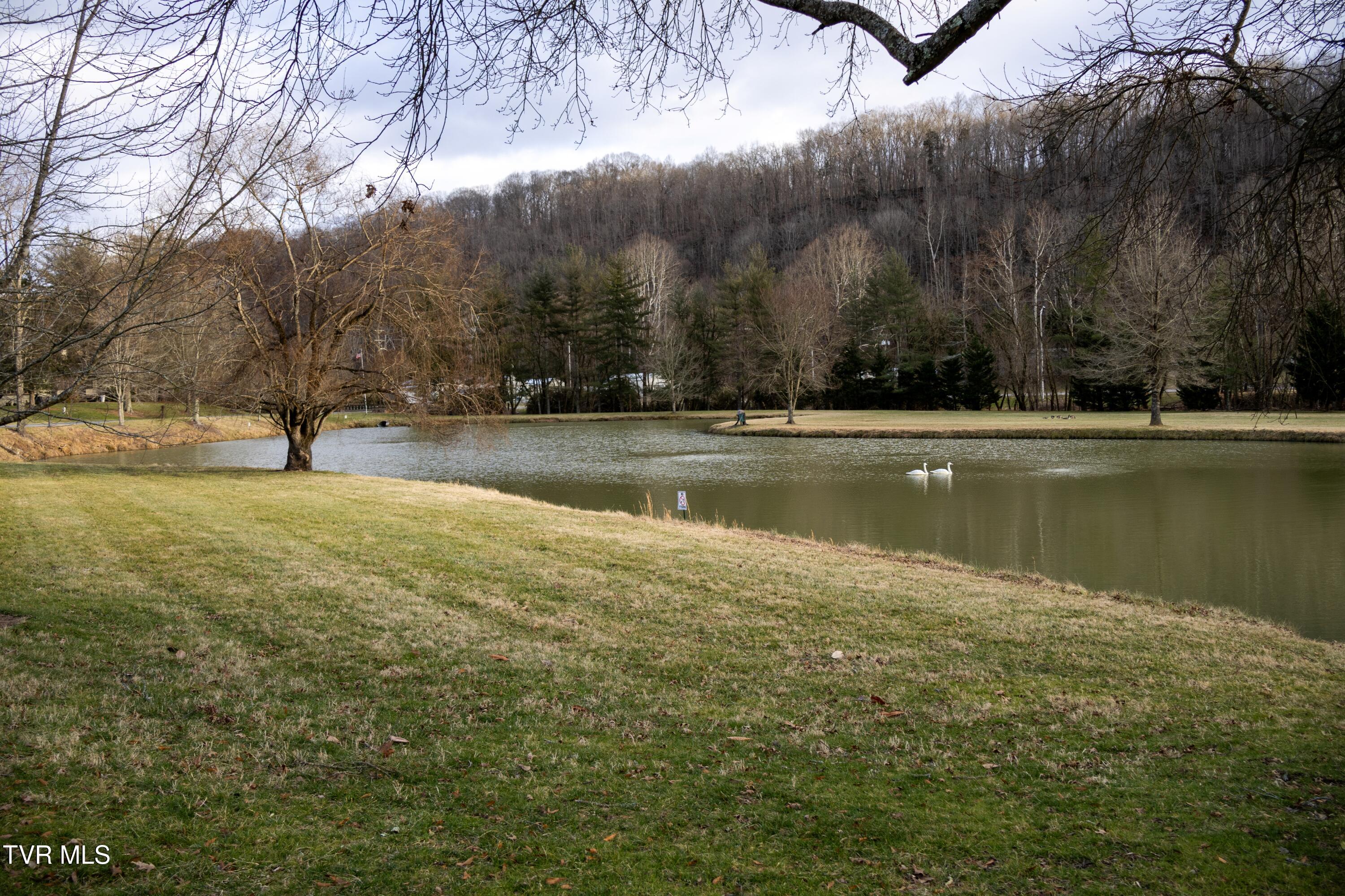 98 Periwinkle Place Kingsport, TN 37660 - Photo 40 of 43 MV4A0902a