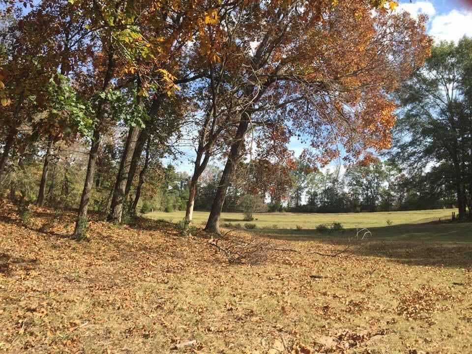 330 Pine Road Sulligent, AL 35586 - Photo 44 of 46 image3