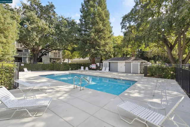 a view of a yard with plants and trees