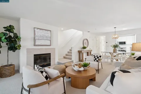 a living room with furniture potted plant and a fireplace