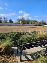 25118 Lambrusco Loop Lutz, FL 33559 - Photo 21 of 23