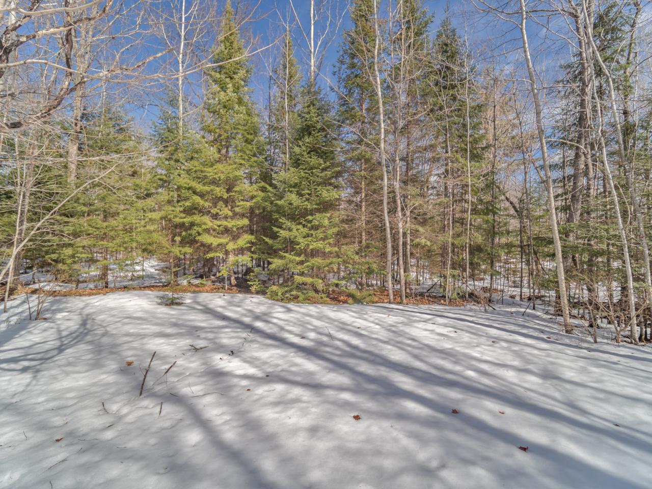 8064 Mercer Lake Road Minocqua, WI 54548 - Photo 30 of 44 Gallery Image 30