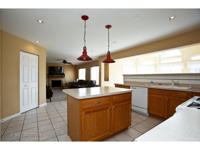 470 Raintree Drive Oswego, IL 60543 - Photo 2 of 25