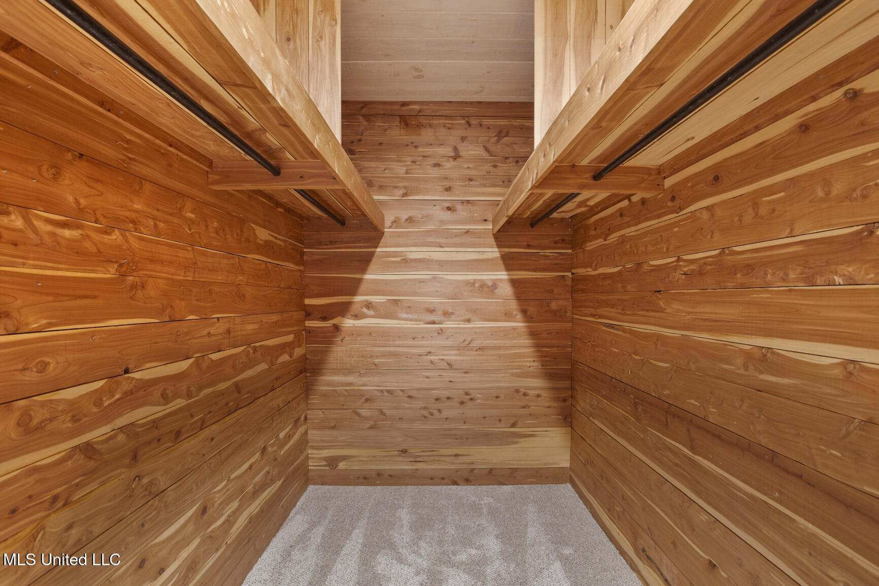 313 Le Bourgeois Lane Brandon, MS 39047 - Photo 23 of 54 313 L Bourgeois-20