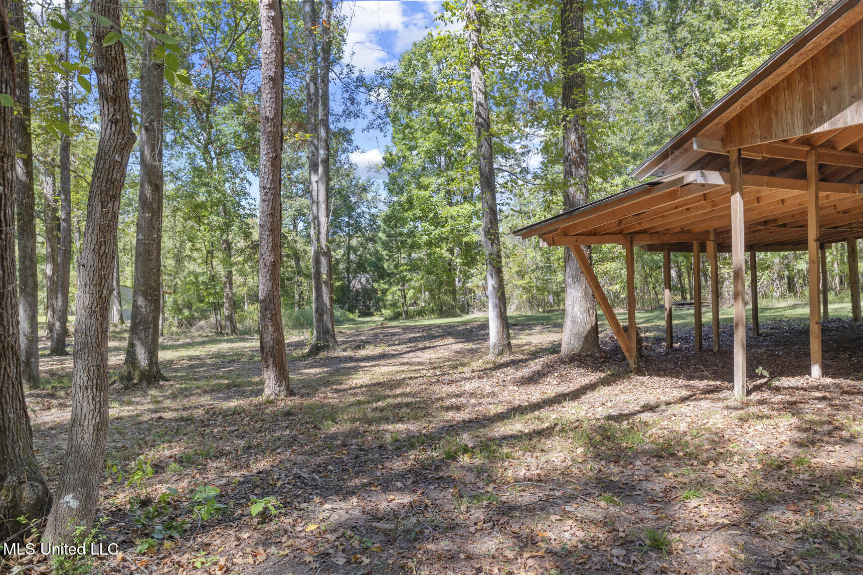 313 Le Bourgeois Lane Brandon, MS 39047 - Photo 53 of 54 313 L Bourgeois-15