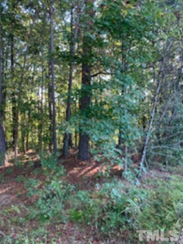 920 Garner Road Selma, NC 27576 - Photo 3 of 5 Gallery Image 3