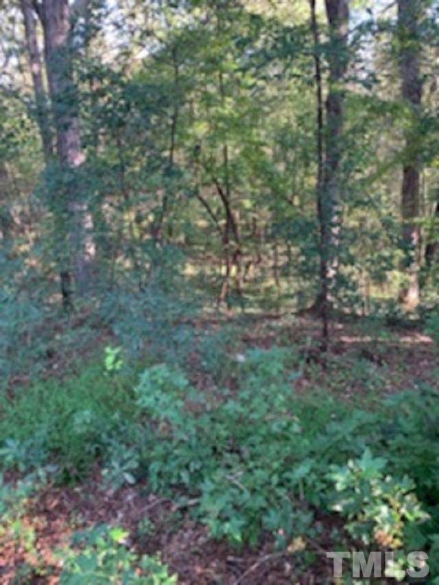 920 Garner Road Selma, NC 27576 - Photo 4 of 5 Gallery Image 4