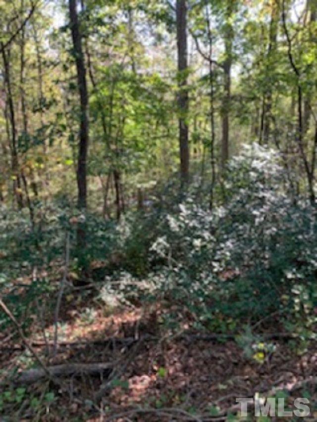 920 Garner Road Selma, NC 27576 - Photo 5 of 5 Gallery Image 5