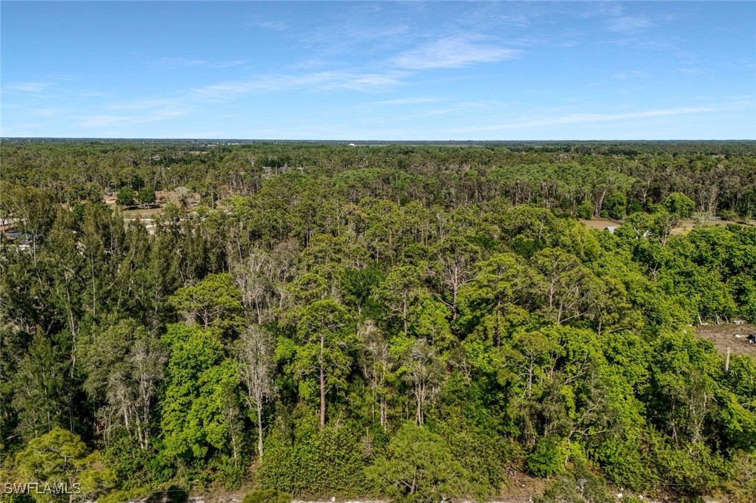 12571 Shawnee Road Fort Myers, FL 33913 - Photo 8 of 15 an aerial view of residential houses with outdoor space and trees