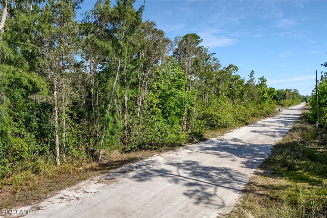 12571 Shawnee Road Fort Myers, FL 33913 - Photo 10 of 15 a view of a road with plants and large trees