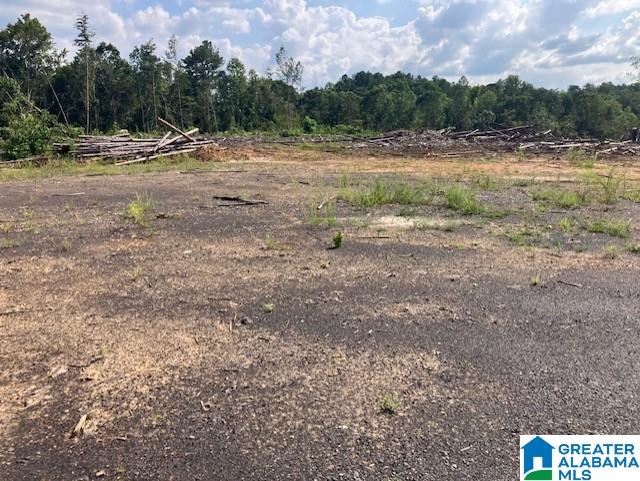 11482 Camp Oliver Road Adger, AL 35006 - Photo 19 of 48