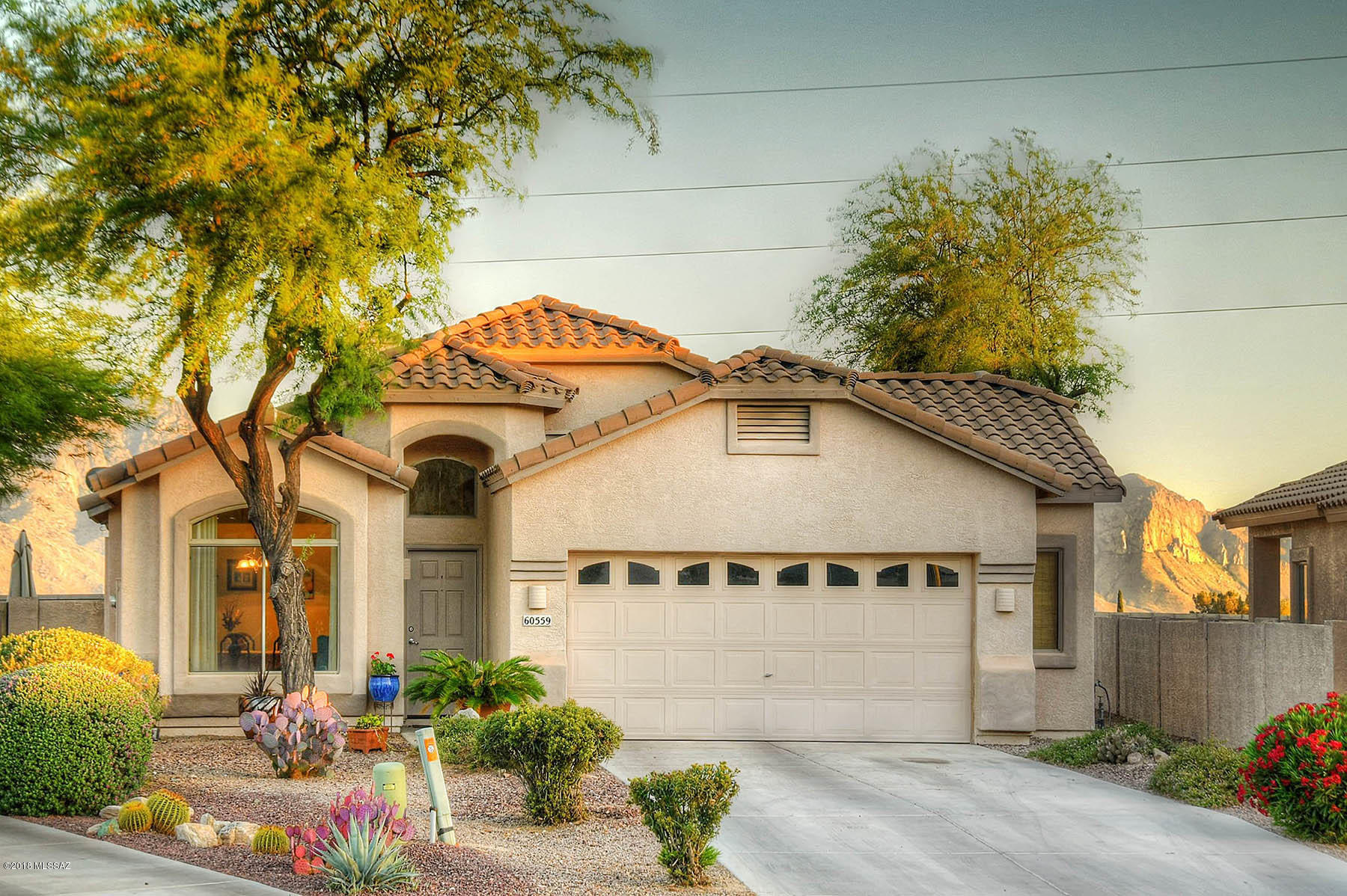 60559 East Blackcrest Loop Tucson, AZ 85739 - Photo 2 of 33