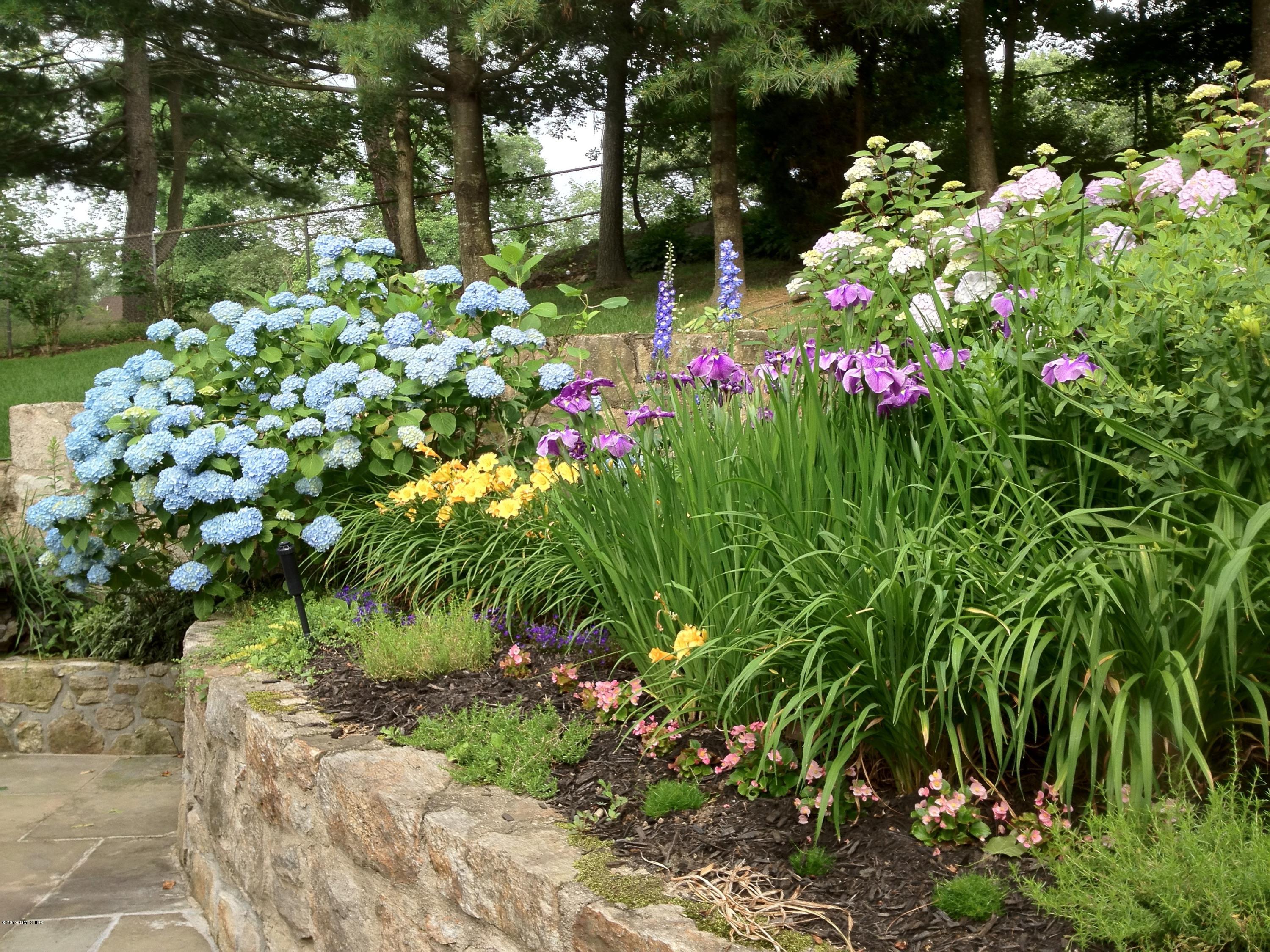 42 Indian Field Road Greenwich, CT 06830 - Photo 35 of 43 a picture of flowers