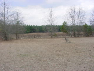 401 Dixie Road South Wagener, SC 29164 - Photo 1 of 1