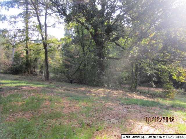 99 Whippoorwill Road Pope, MS 38658 - Photo 3 of 5 Additional Photo