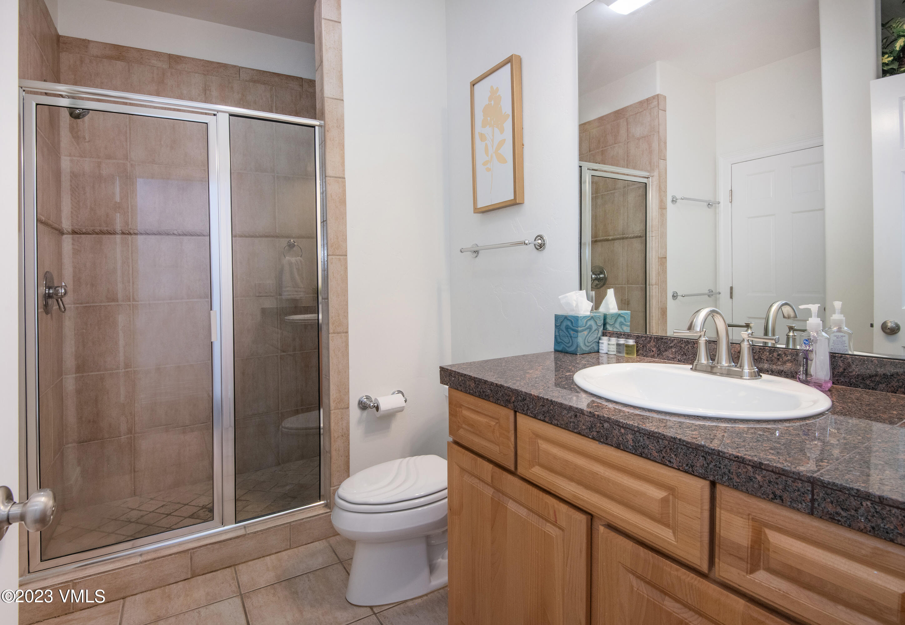 305 Red Fox Gypsum, CO 81637 - Photo 19 of 50 a bathroom with a granite countertop sink a toilet and shower