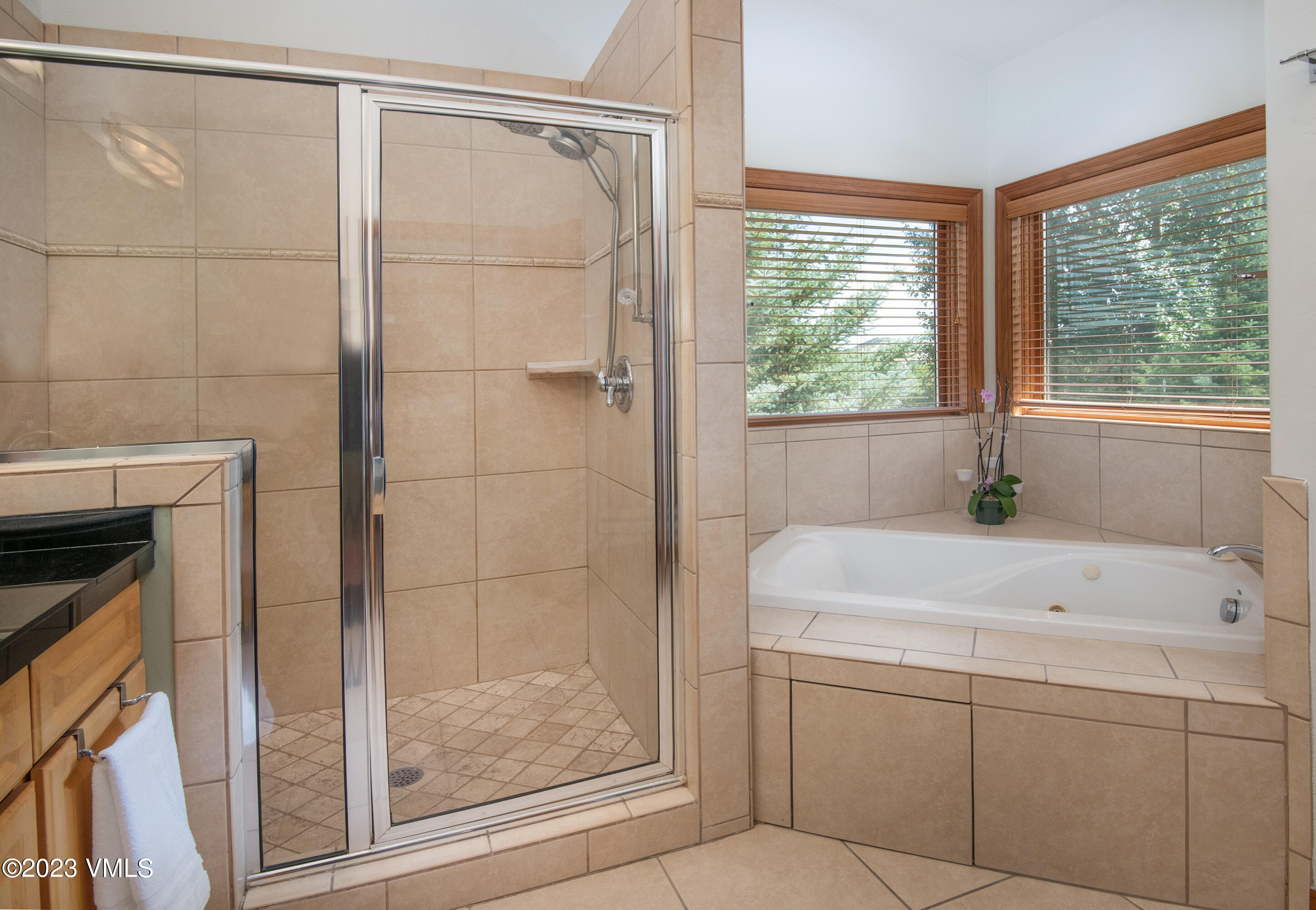 305 Red Fox Gypsum, CO 81637 - Photo 24 of 50 a bathroom with a shower and a sink a mirror