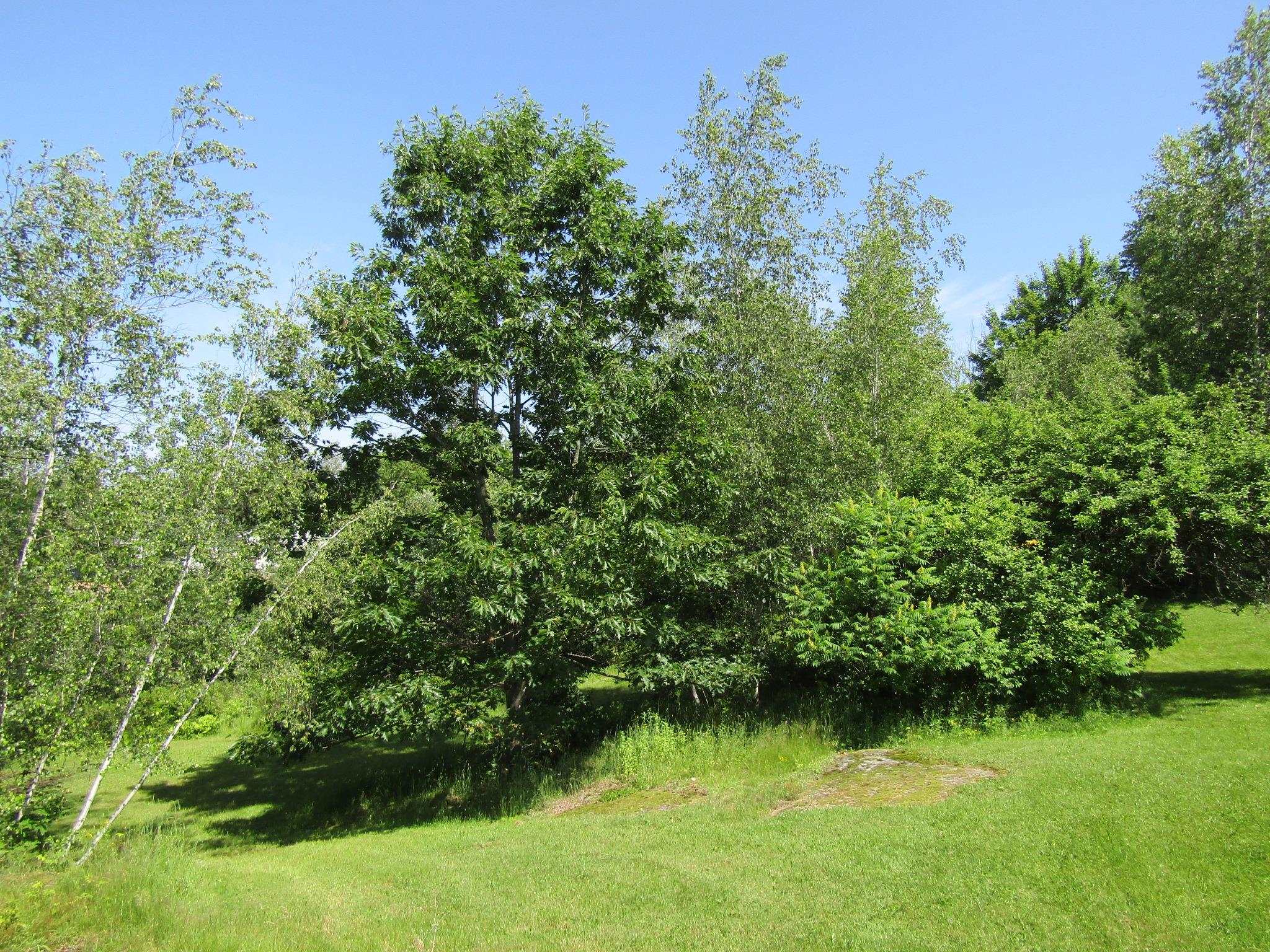 331 Gilman Road, Unit LOT 2 Sheldon, VT 05450 - Photo 11 of 18