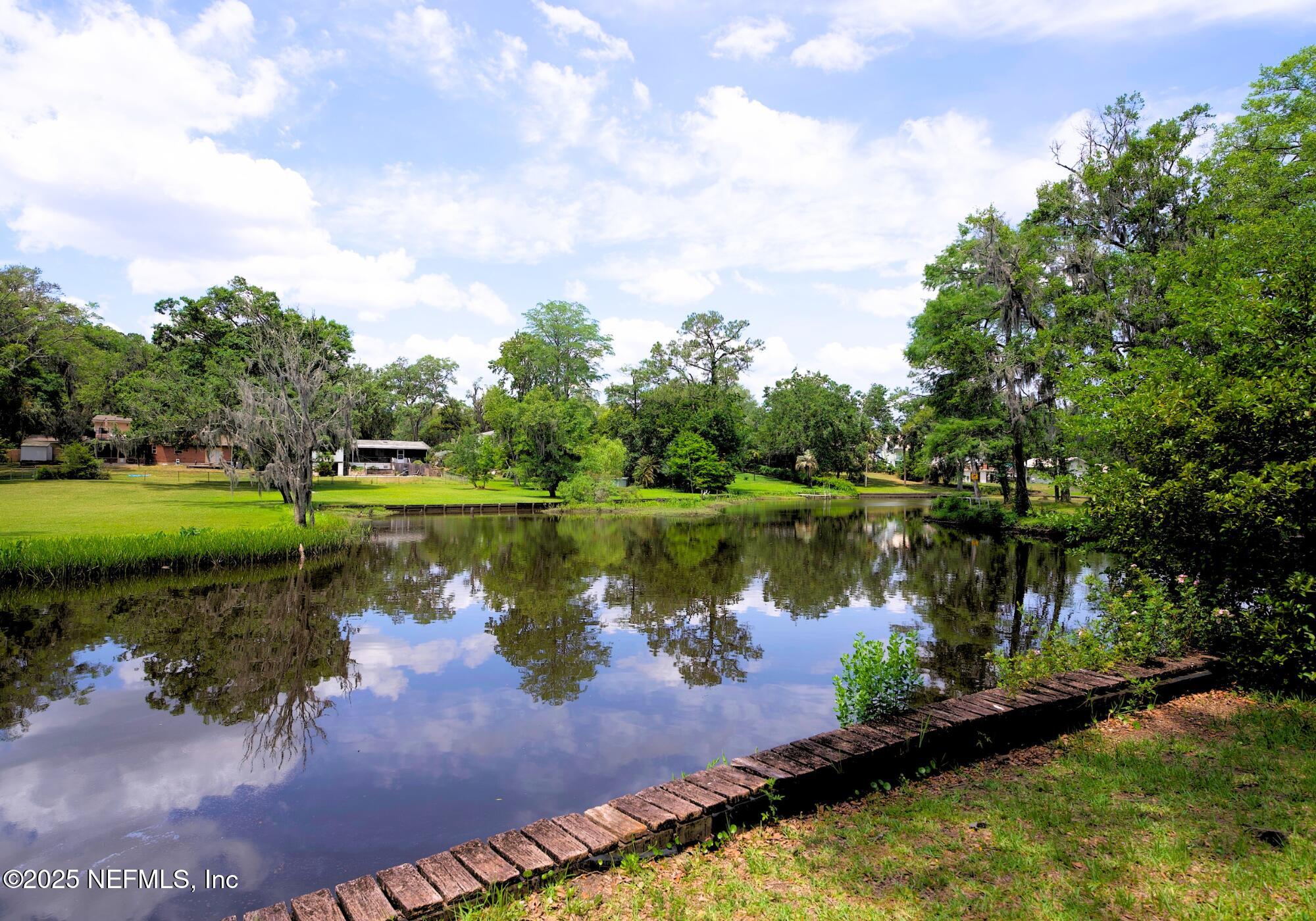 5152 Eulace Road Jacksonville, FL 32210 - Photo 5 of 24 Back Yard/Pond