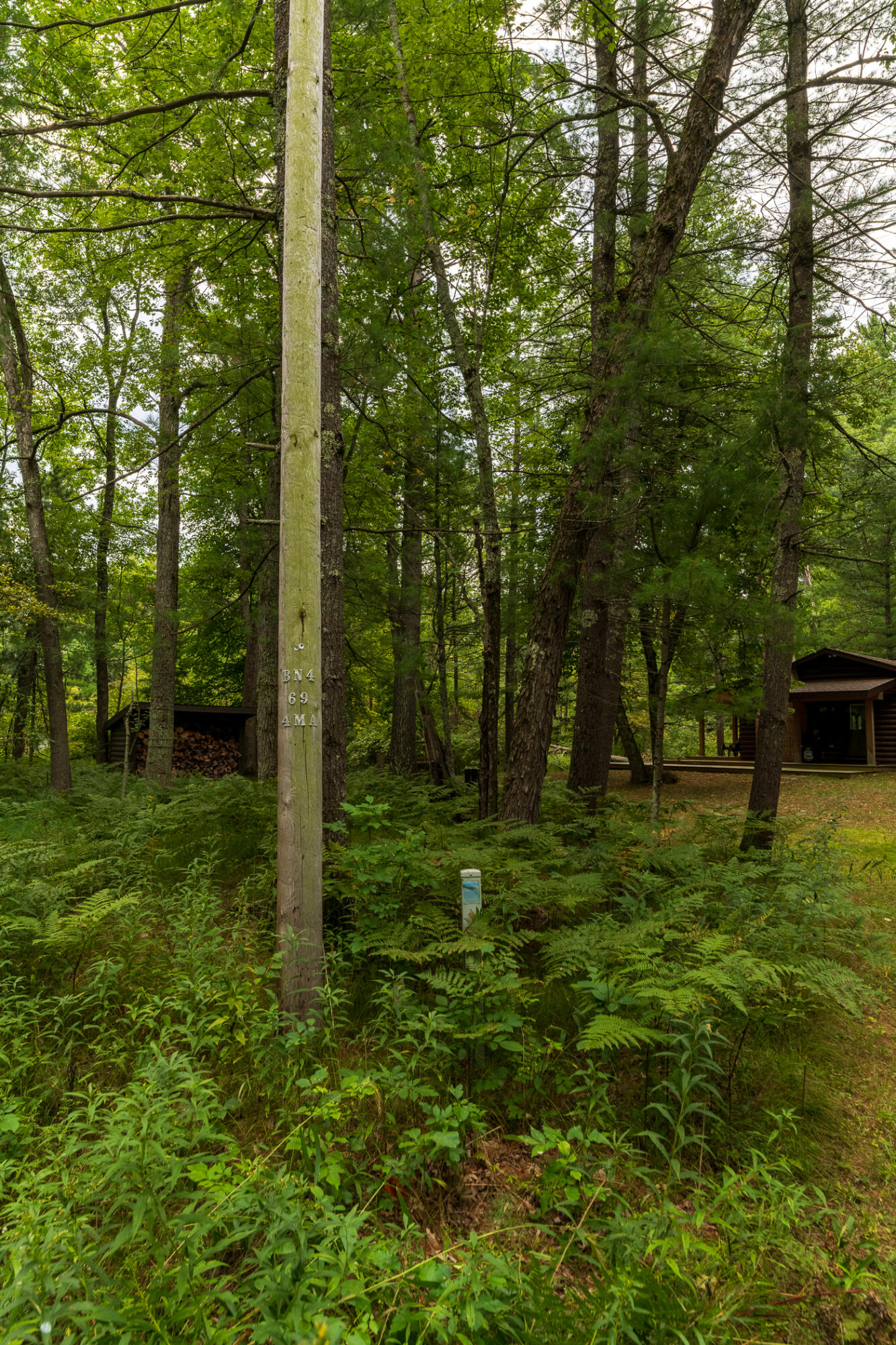 10175 South Riverbend Road Baldwin, MI 49304 - Photo 37 of 38 Cabin 20260902-37